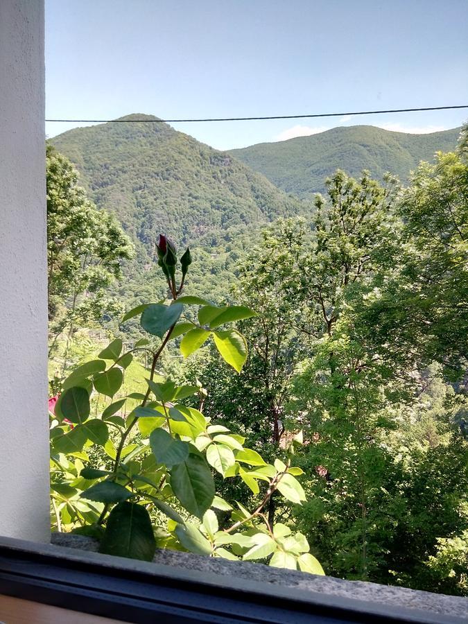 Rustico "Casa Di Sasso" Βίλα Intragna Εξωτερικό φωτογραφία